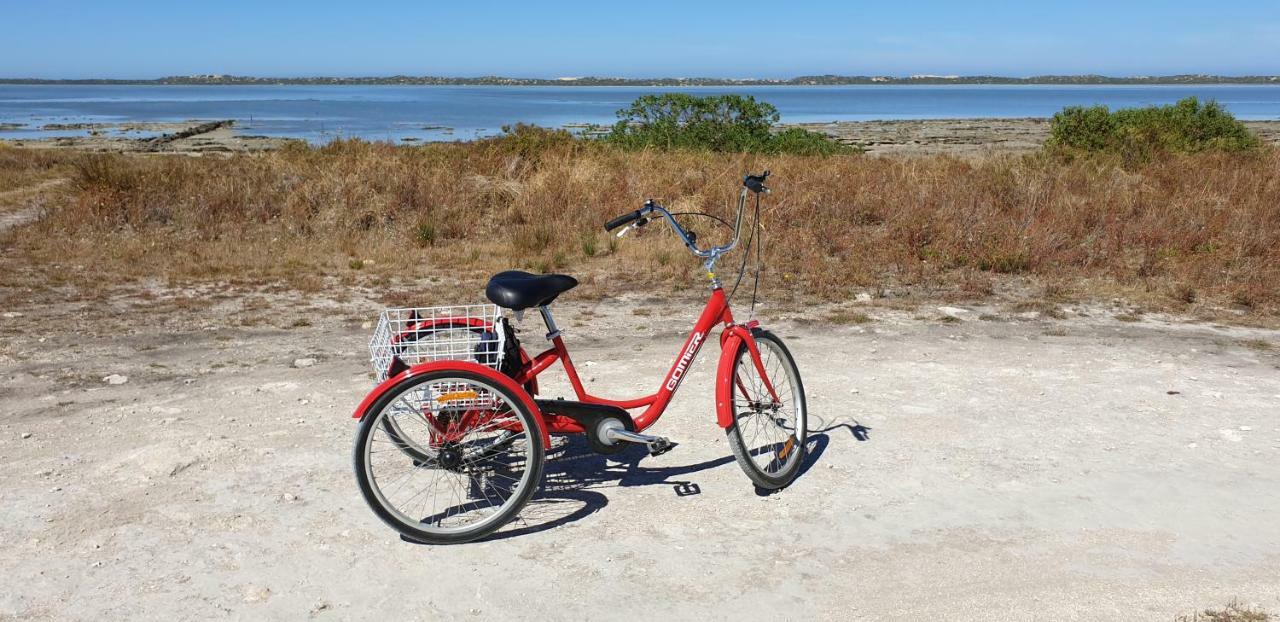 Samphire: Coorong Accommodation Meningie Εξωτερικό φωτογραφία